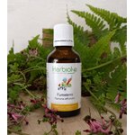00001053-02 - TM Fumeterre 50 ml