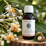 HVCAINB100-02 - HV Calophylle 100 ml Bioflore