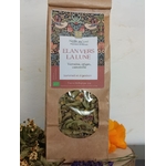 TC1-01 - Infusion Elan vers la Lune