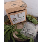 INF17-02 - Tisane Sauge officinale en infusette