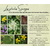 Formation Les Plantes Sauvages