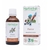 poirier-bourgeon-bio-gemmotherapie
