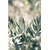 5467-cs400-photos-gratuites-de-agriculture-arbre-bokeh