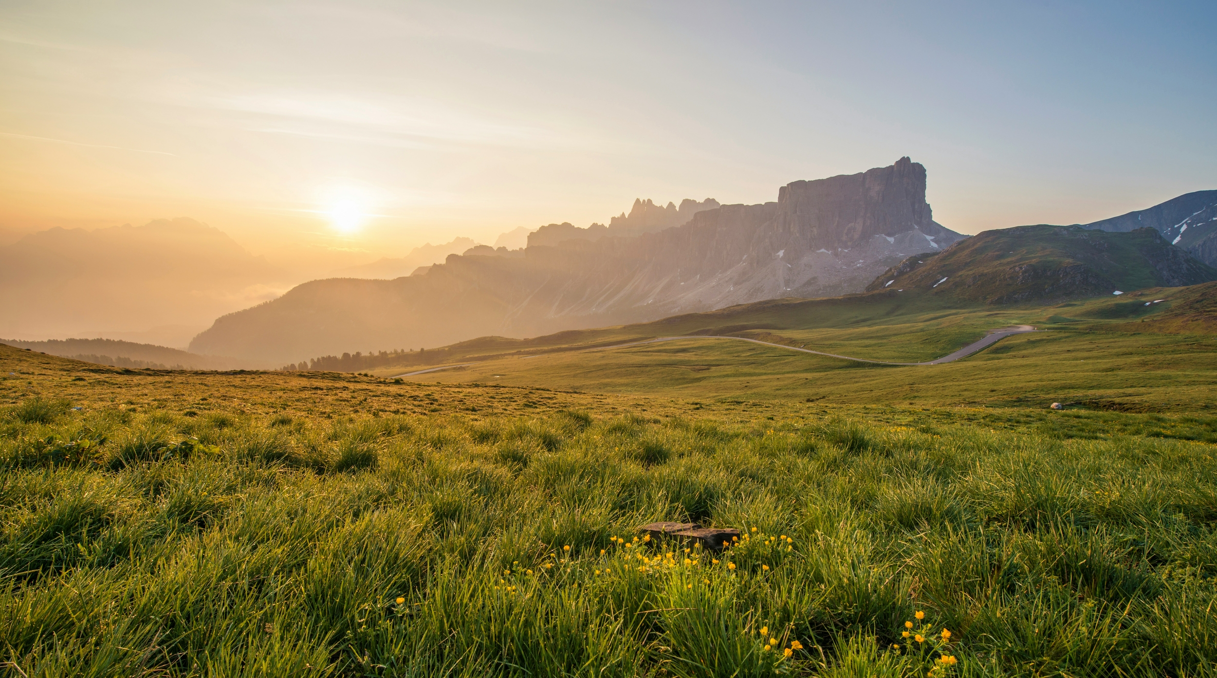 paysage herbes et montagne ensoleilles