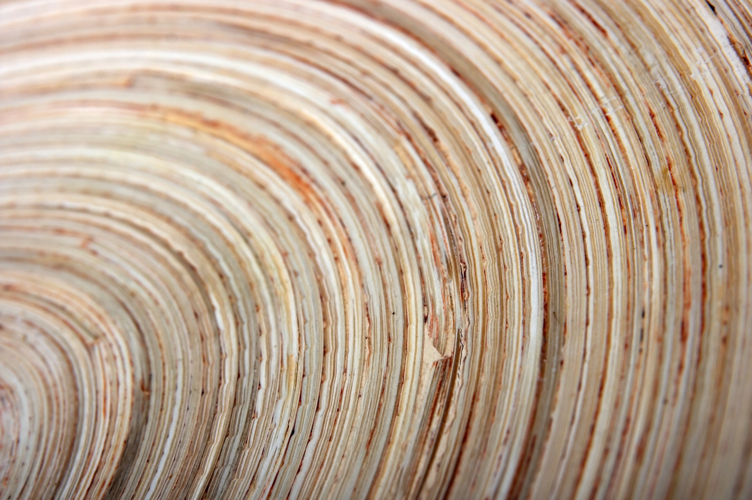 adobestock 6862493