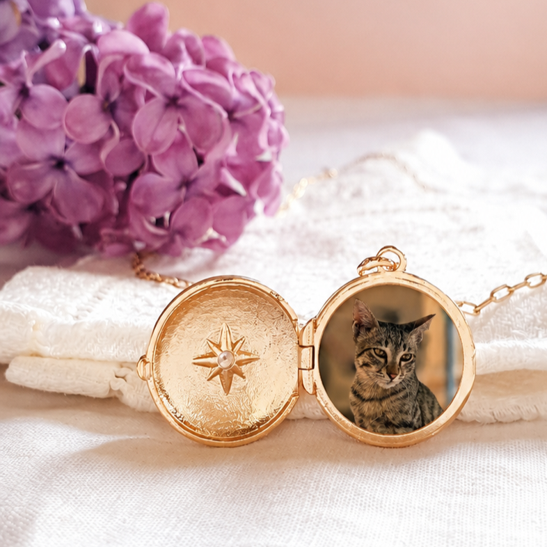 bijou souvenir chat decede