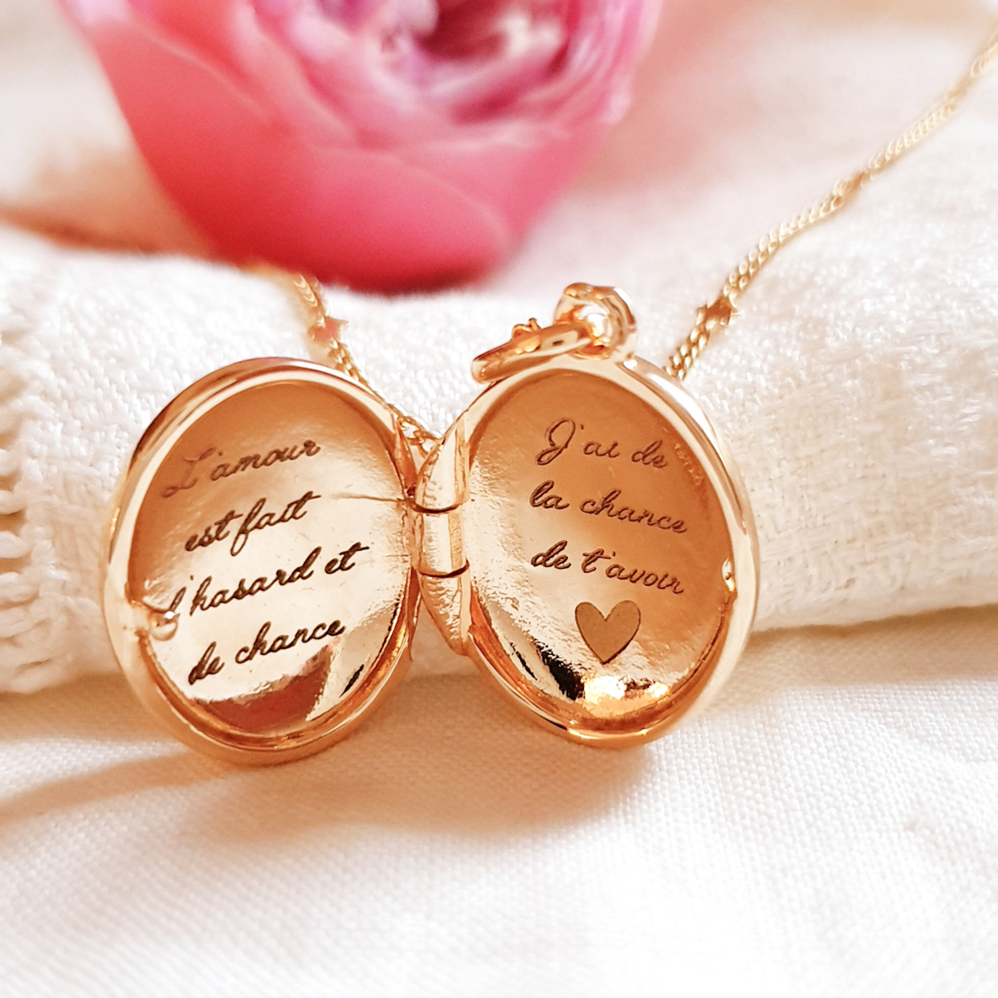 cadeau fille qui a un animal de compagnie chien chat