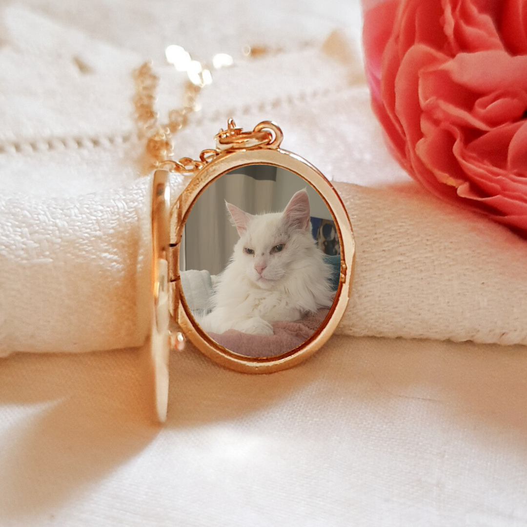 medaillon-photo-chat