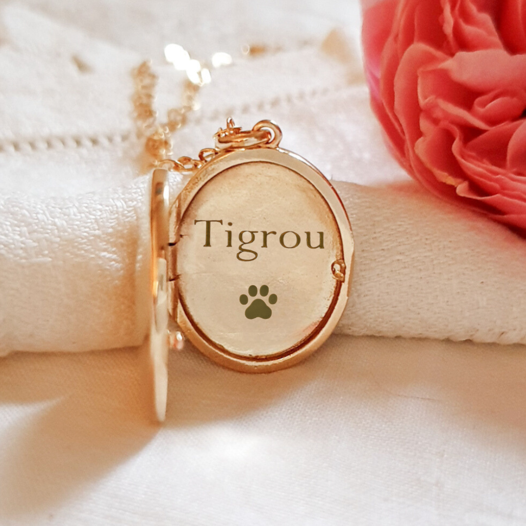 bijou-empreinte-chat