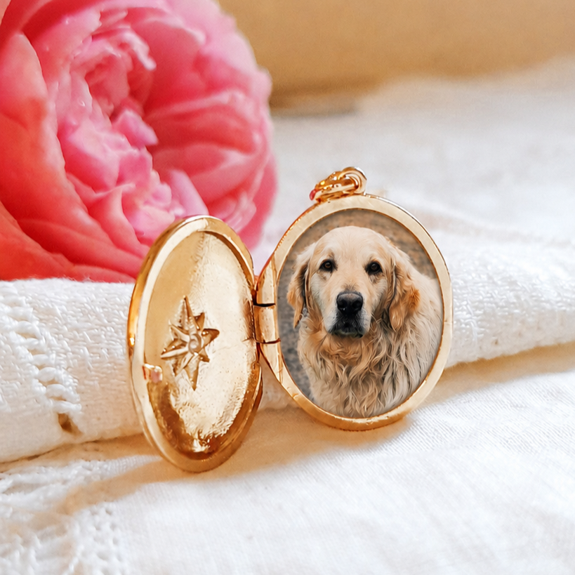 medaillon-et-portrait-de-chien