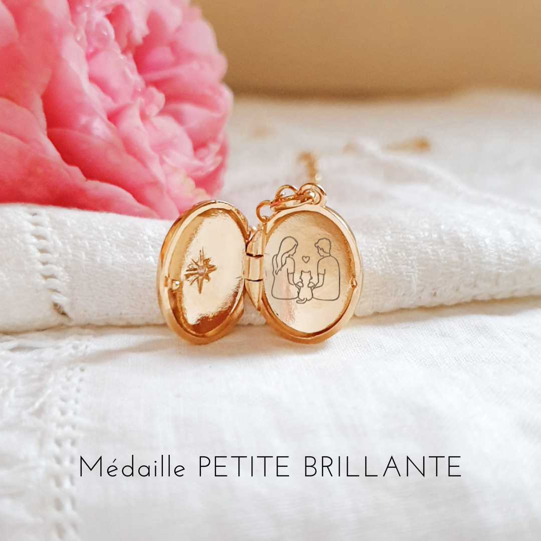 souvenir-animal-de-compagnie-collier
