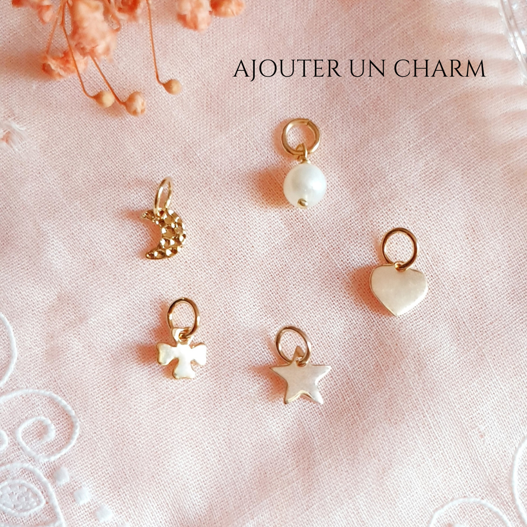 admin ajouter un charm