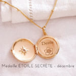 medaillon fleur de naissance decembre rose noel