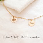 collier personnalise fleur de naissance novembre