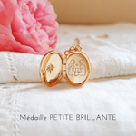 souvenir-animal-de-compagnie-collier