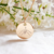 collier-animal-de-compagnie
