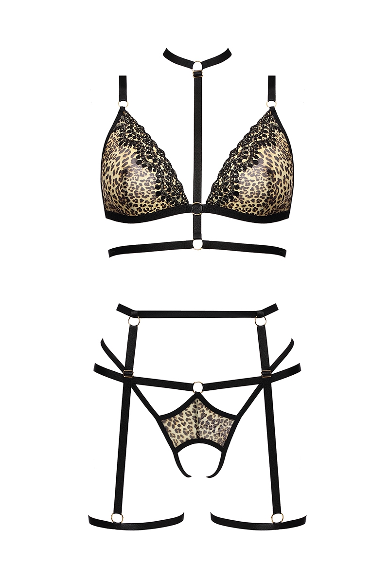 photo2_800