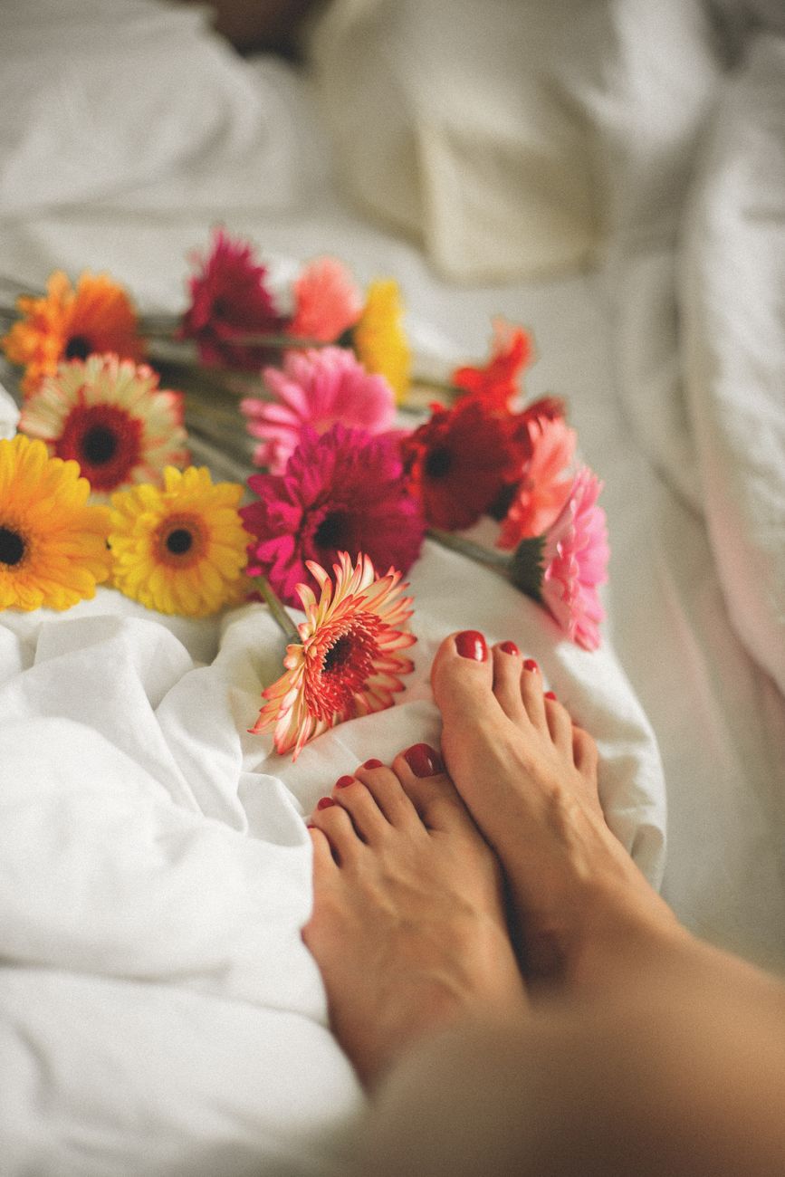 photos gratuites de arrangement floral beaute bien etre