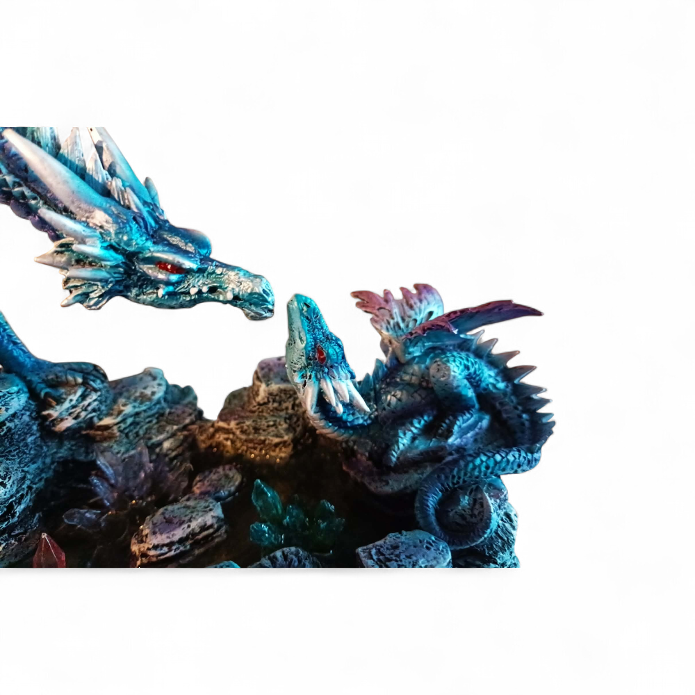 dragons-en-famille-ard002-3