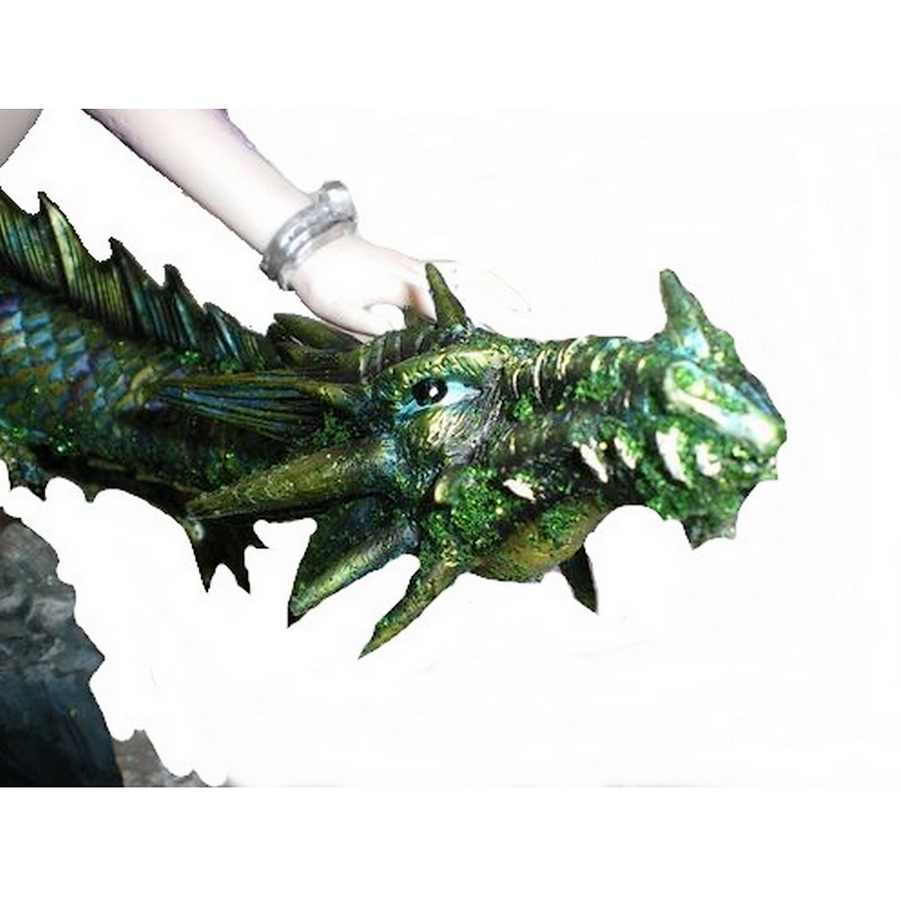 NP653E-dragon