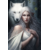elfe et loup blanc - JF001ZA29