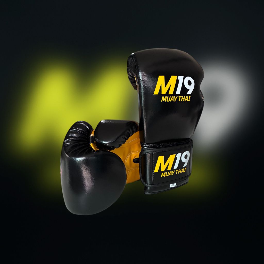 Gants Muay Thai M19