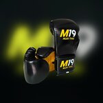 Gants Muay Thai M19