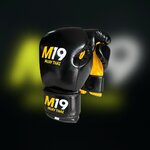 Gants Muay Thai M19