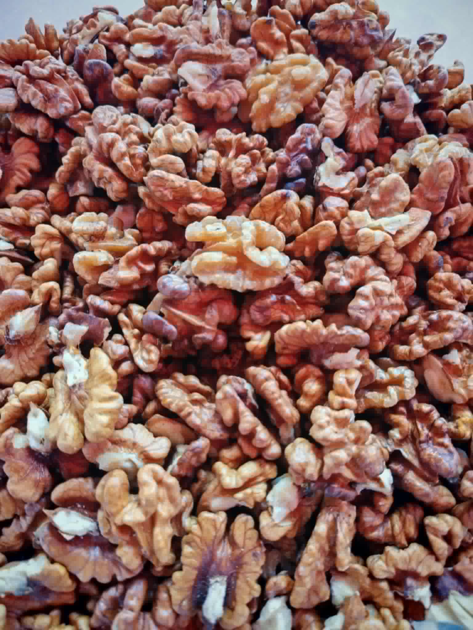 noix1