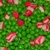 1069-petit-pois-au-lard