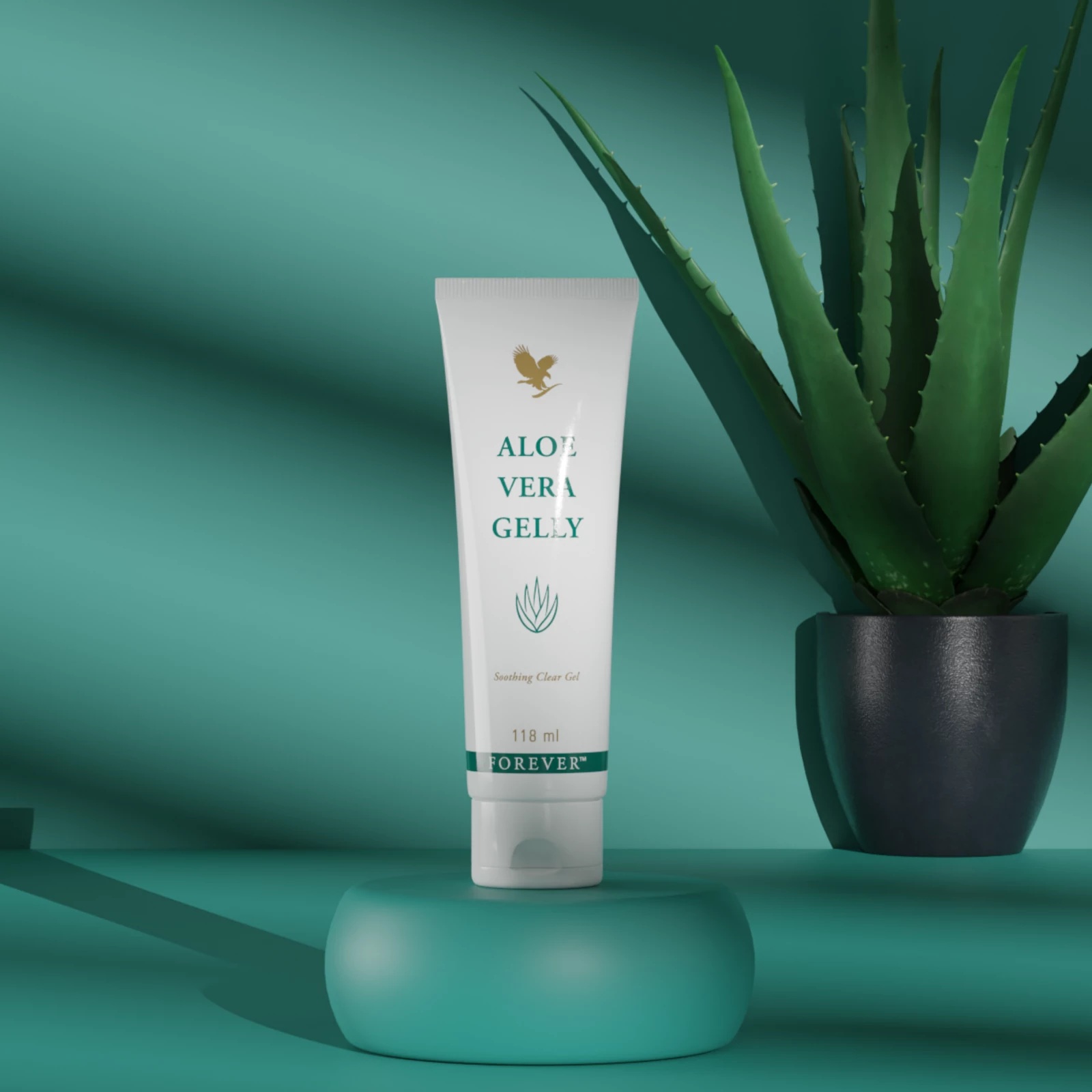 gelee-aloes