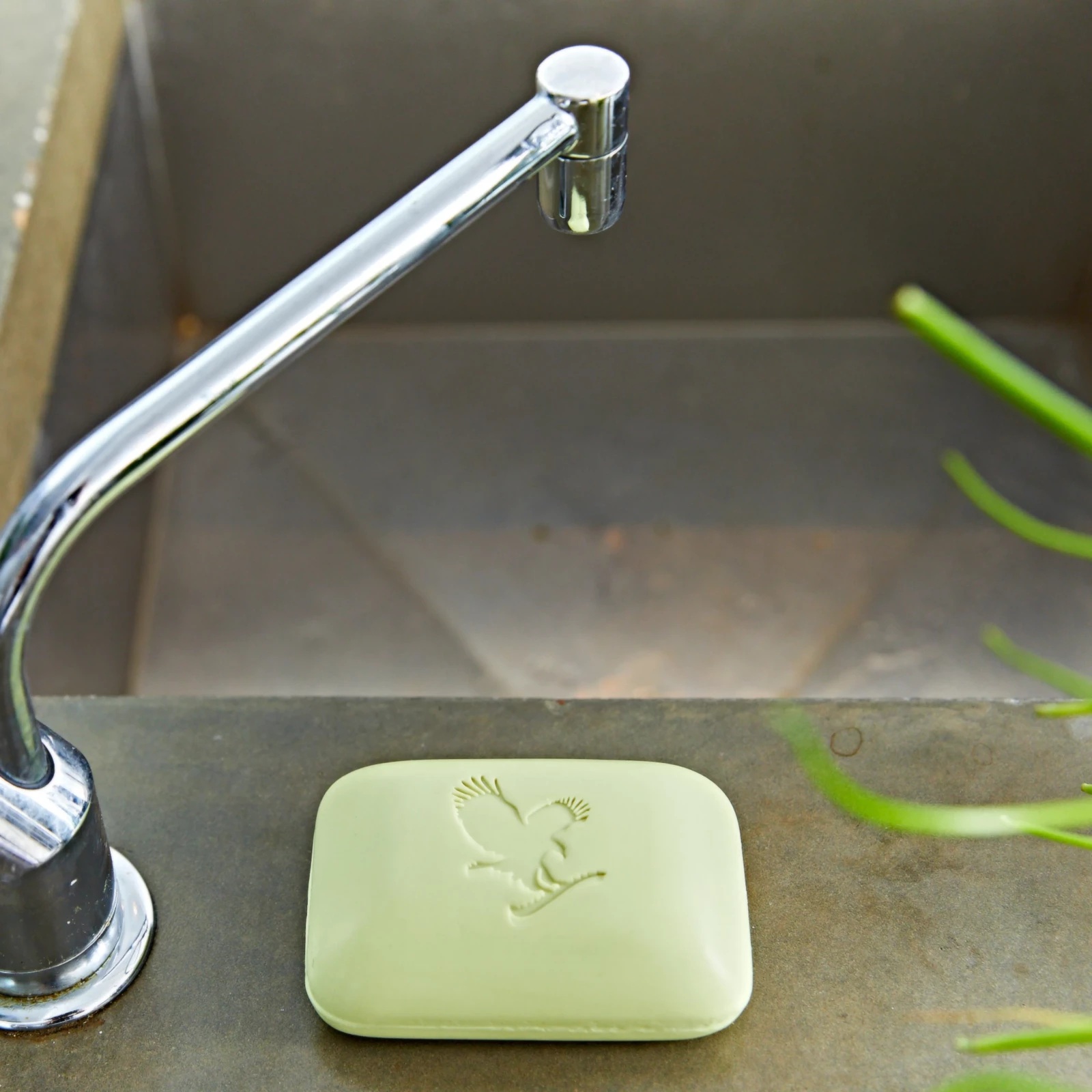 aloe-avocado-face-and-body-soap