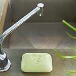 aloe-avocado-face-and-body-soap