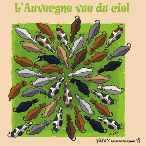 Magnet l Auvergne vue du ciel