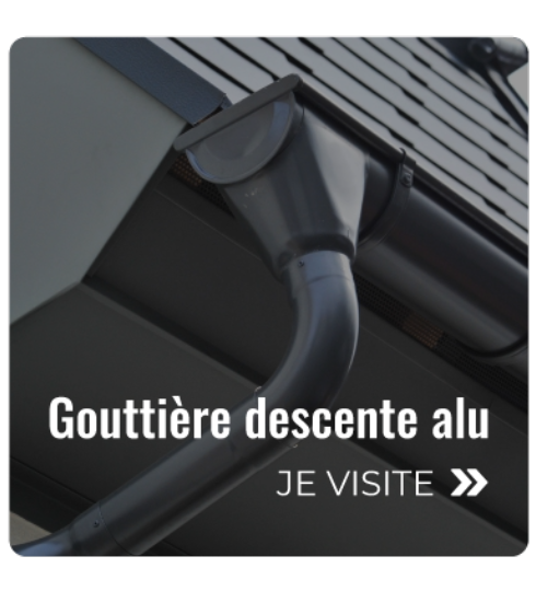 projet redimensionner une image