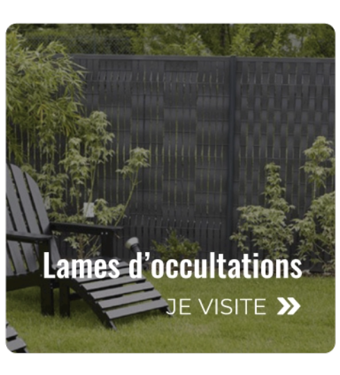 projet redimensionner une image 1