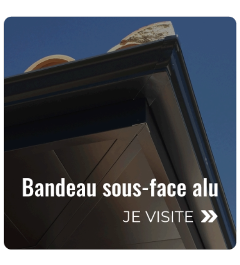 projet redimensionner une image 1 1