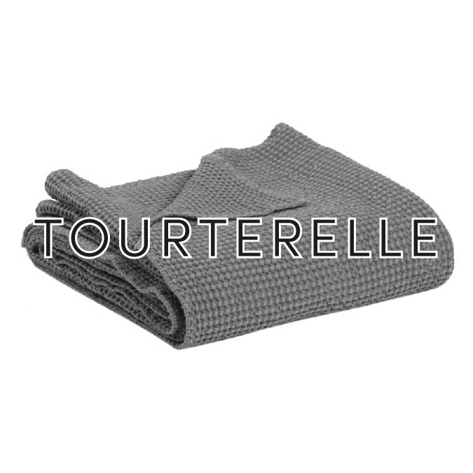 Tourterelle