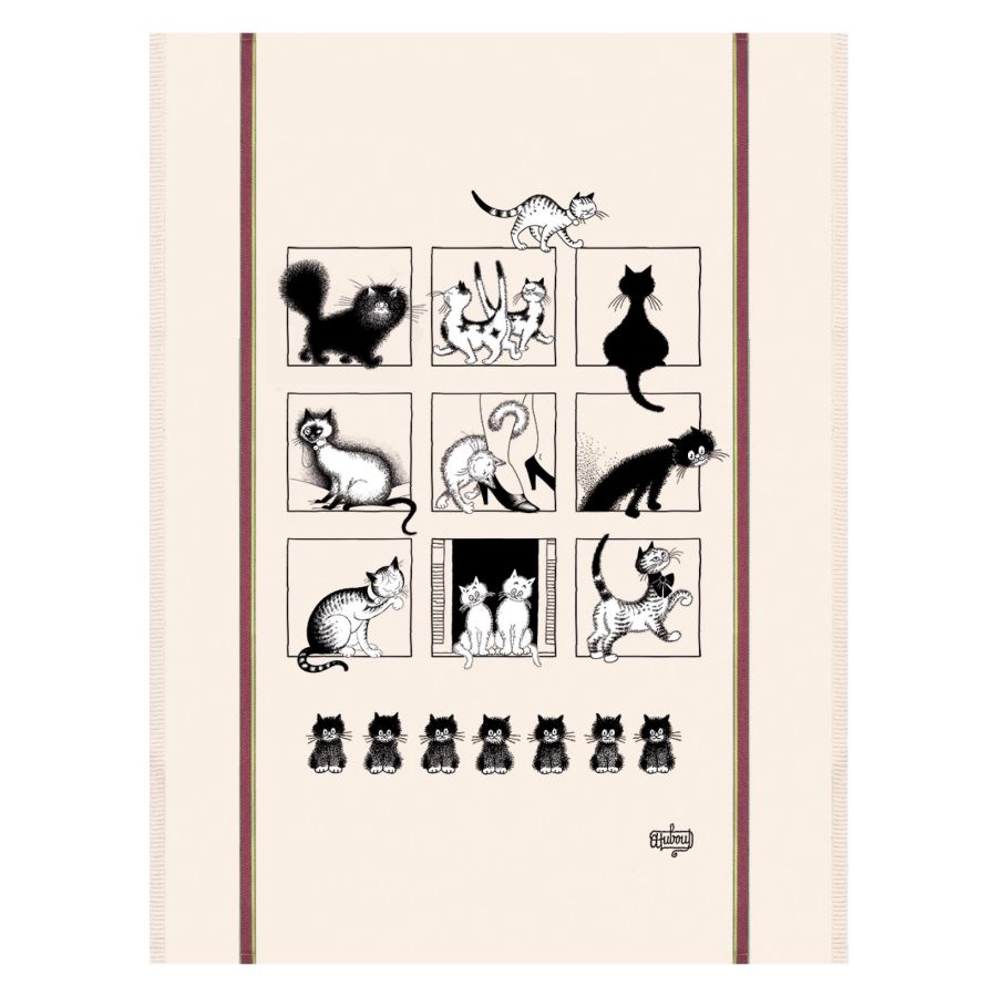 Galerie de chats