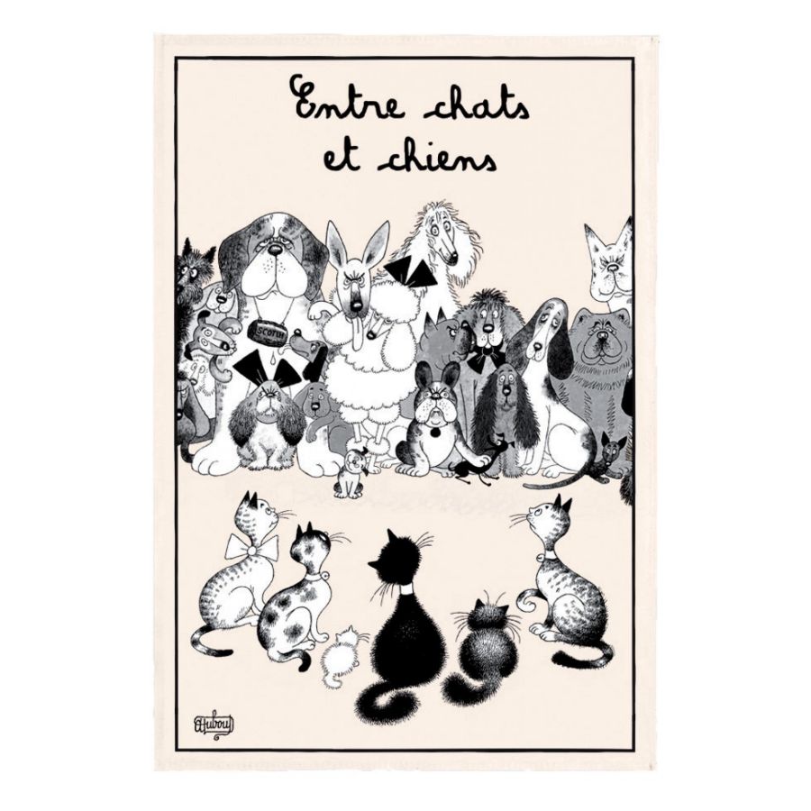 Entre chiens et chats