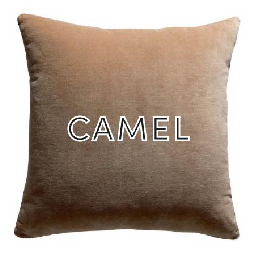 Camel carré