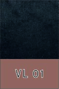 VL 01