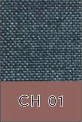 CH 01