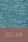 CH 06