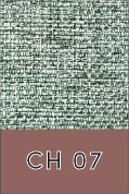 CH 07