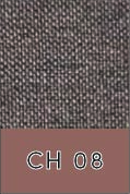 CH 08