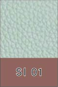 SI 01