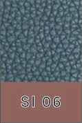 SI 06