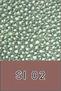 SI 02