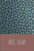 SI 05